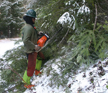 Forestry services worker