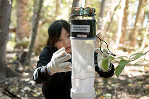 Girl looking up in construction vest and hardhat