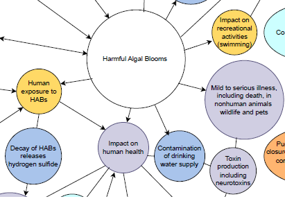 A small section of a concept map on harmful algal blooms, which shows circles with text labels of concepts inside of them and arrows between them. In the center is a circle labeled Harmful Algal Blooms (HABs). Surrounding it are 7 circles with individual labels and colors, with arrows pointing to and from the center circle. The labels are: For blue circles indicating environmental impacts: Contamination of drinking water supply; Decay of HABs releases hydrogen sulfide. For yellow circles indicating social impacts: Impact on recreational activities (swimming); Human exposure to HABs. For purple circles indicating health impacts: Mild to serious illnesses, including death, in nonhuman animals wildlife and pets; Toxin production including neurotoxins; Impact on human health.
