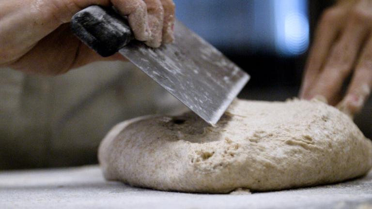 A person (with only their hands visible) holds a pastry knife, about to cut a lump of bread dough.