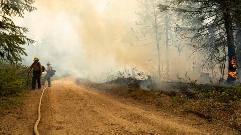 Firefighters working on a wildfire