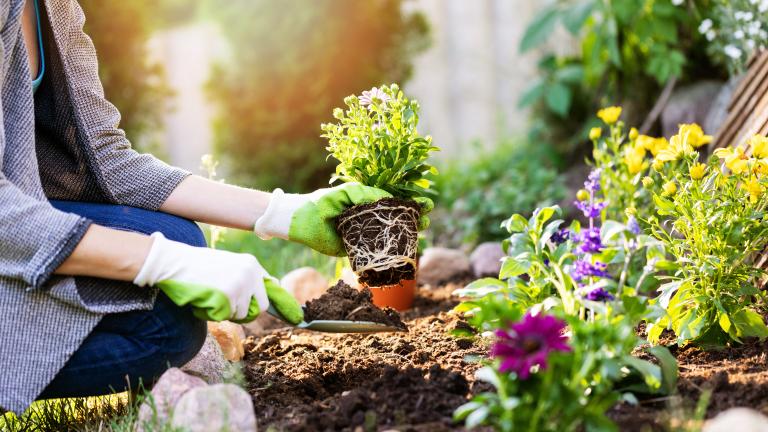 woman gardening