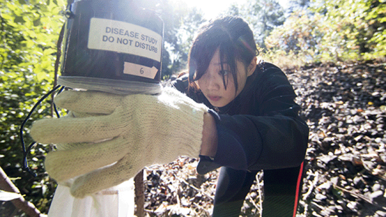 Student doing field work