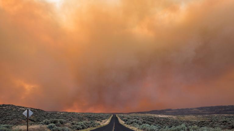 A road with heavy wildfire smoke in the air.