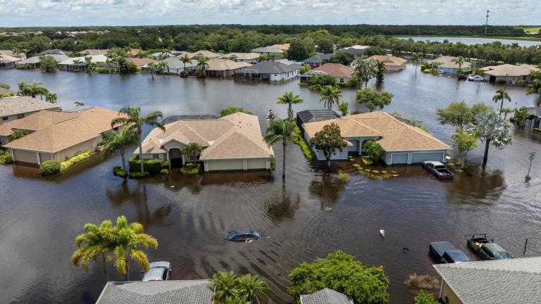 Houses, cars and palm trees submerged in water after a flood.