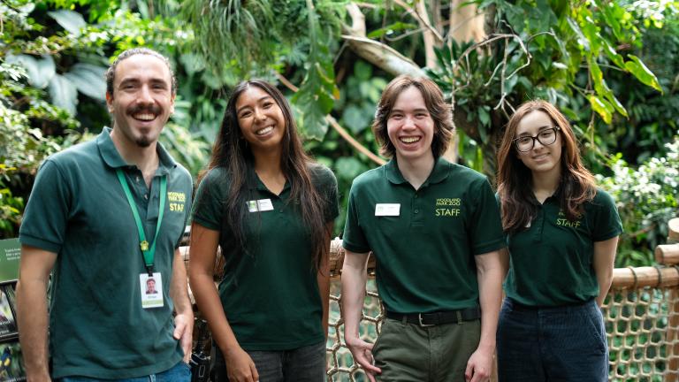 Four people smile wearing zoo uniforms in front of greenery at the zoo.