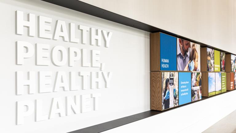 Interior art at Hans Rosling Center