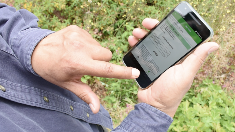 Close-up of man holding mobile phone.