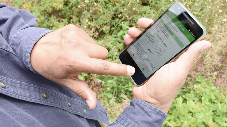 A hand holds a smart phone showing a bilingual pesticide safety app while the other hand taps the screen.