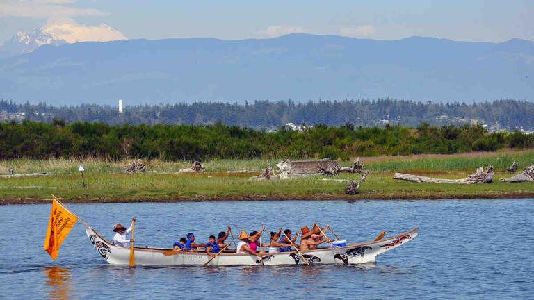 A group of Swinomish Tribe members paddles a traditional canoe near a shoreline.