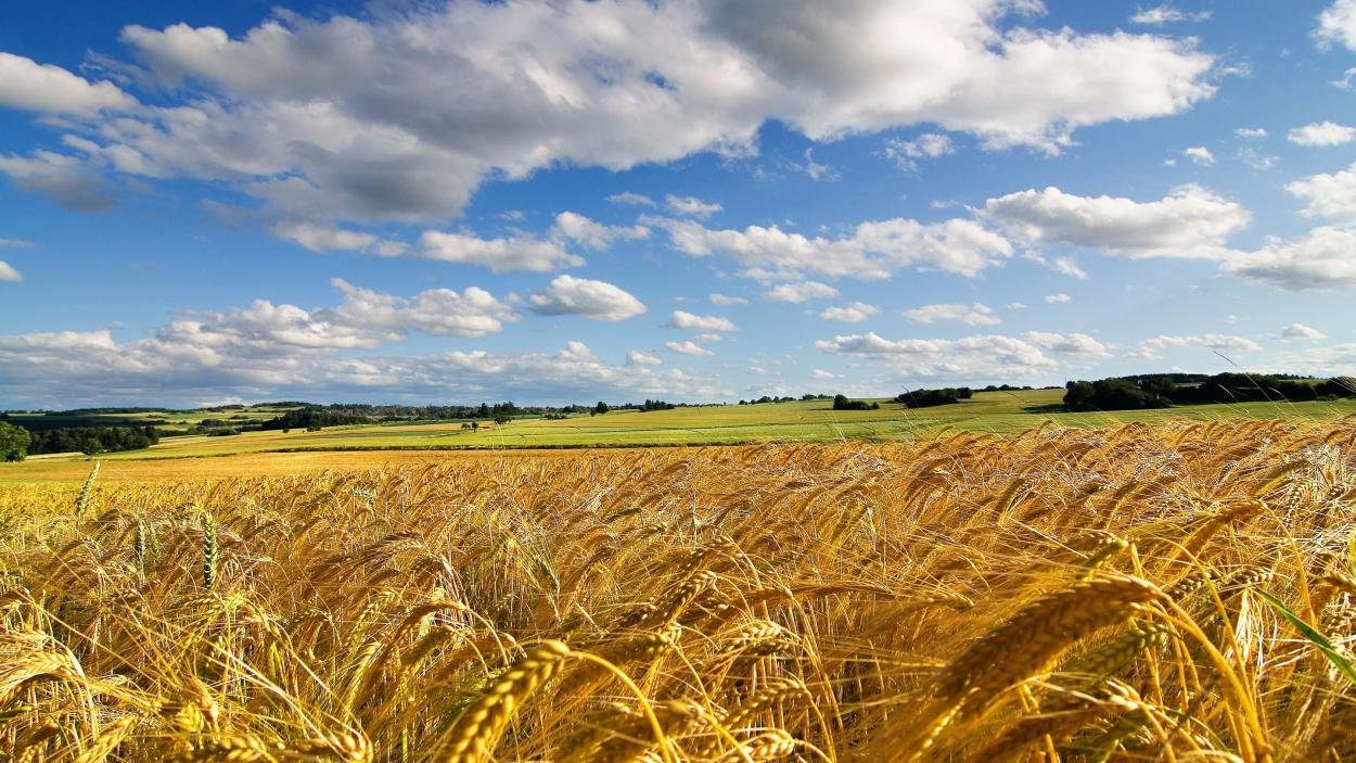The Seattle Glyphosate Symposium