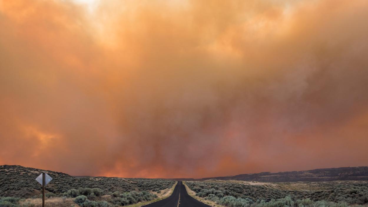 A road with heavy wildfire smoke in the air.
