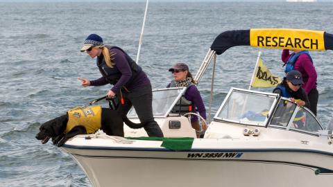 A dog and his trainer stand at the front of a research vessel looking into the water.